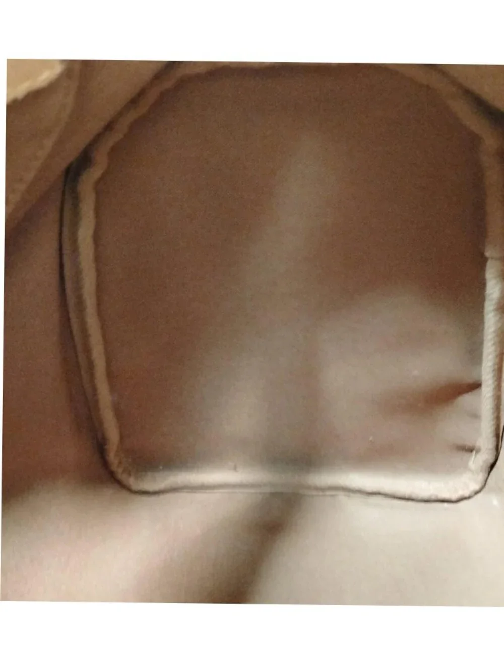 Louis Vuitton distinctive louis